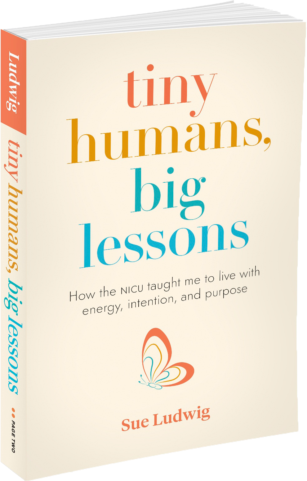tiny humans, big lessons 3-D book cover